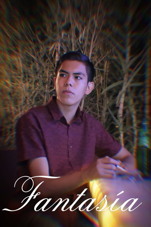 Movie poster for A Reverie (2022)