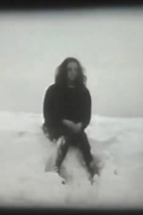 Movie poster for The First Cold (1996)