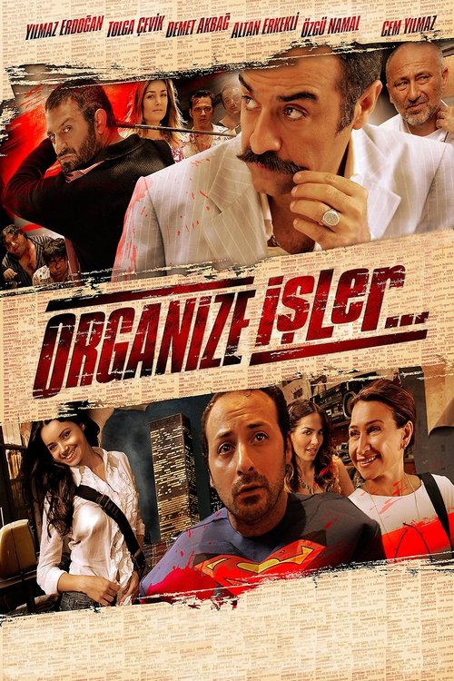 Movie poster for Magic Carpet Ride (2005)