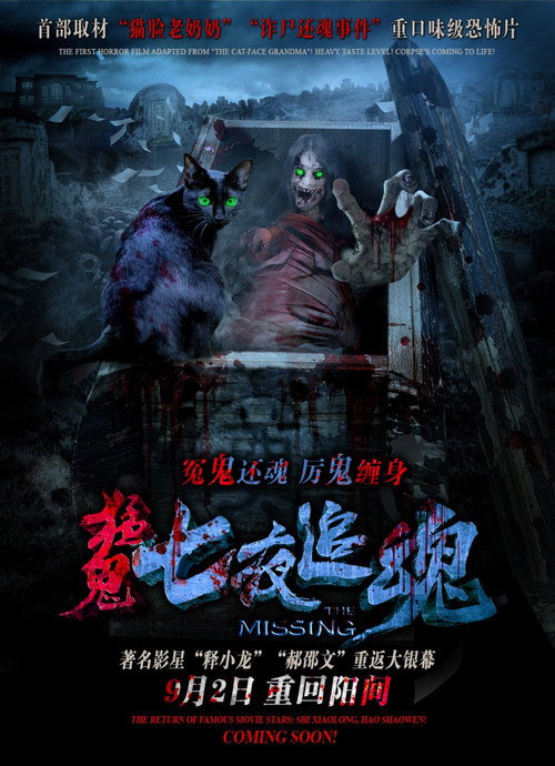 Movie poster for The Missing (2015)