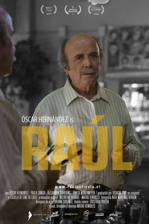 Movie poster for Raúl (2015)