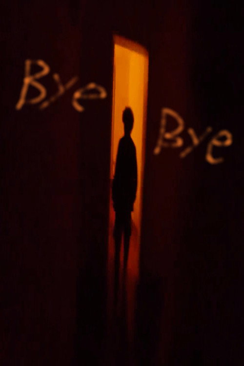 Movie poster for Bye Bye Analog World (2023)