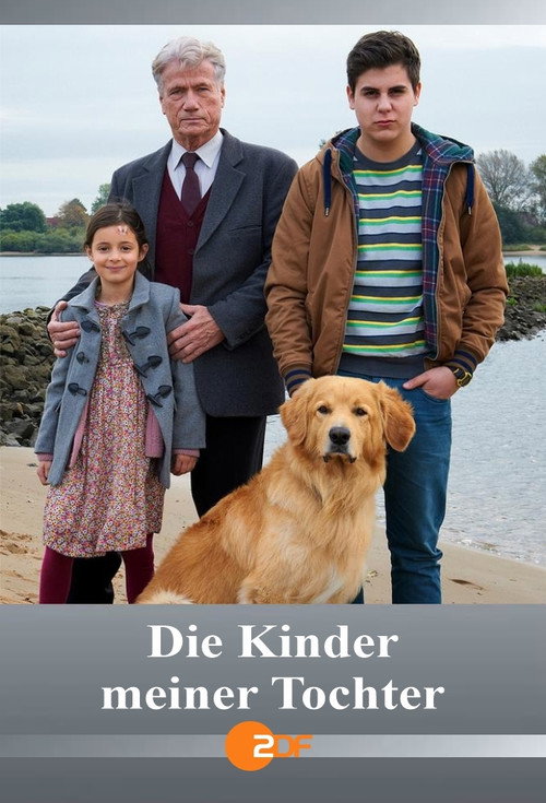 Movie poster for Die Kinder meiner Tochter (2013)
