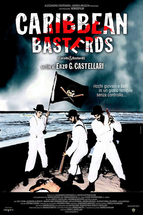 Movie poster for Caribbean Basterds (2010)