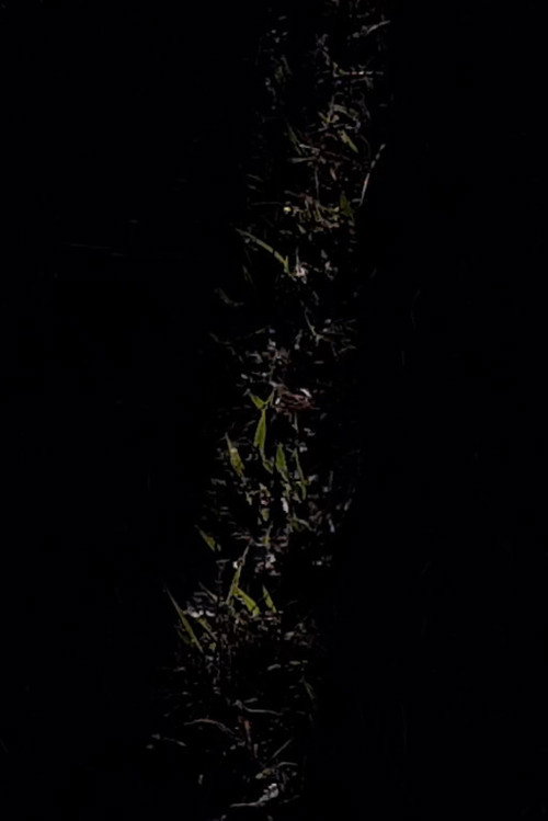 Movie poster for I Came Here To Make A Map (2020)