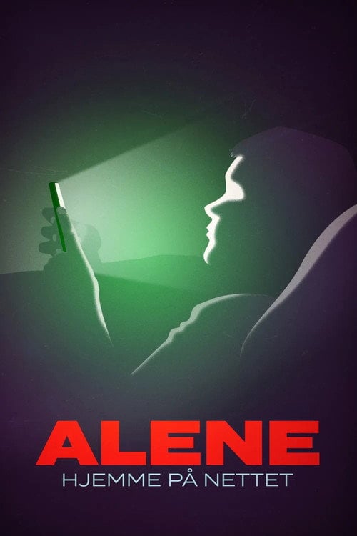 Series poster for Alene hjemme på nettet (2024)