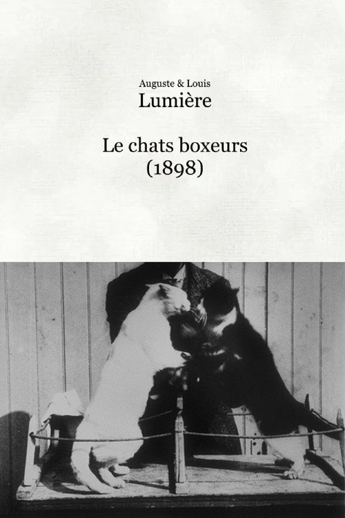 Movie poster for Les chats boxeurs (1898)