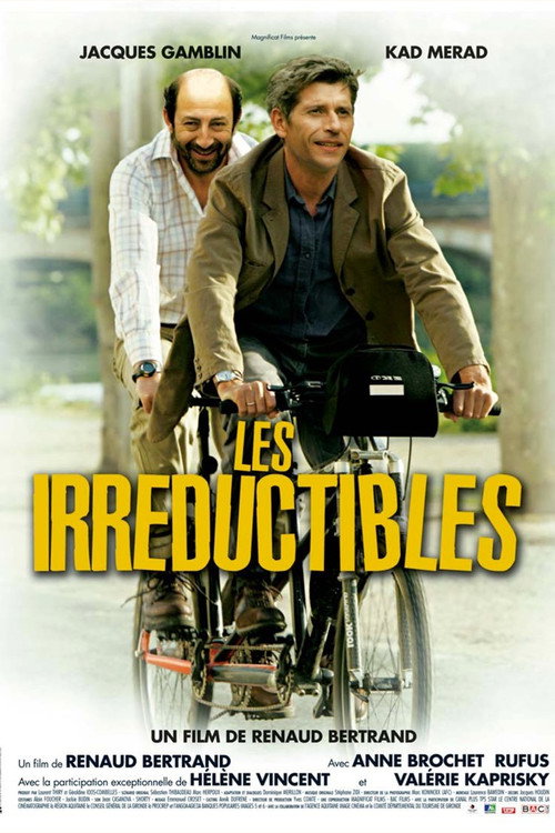 Movie poster for Les Irréductibles (2006)