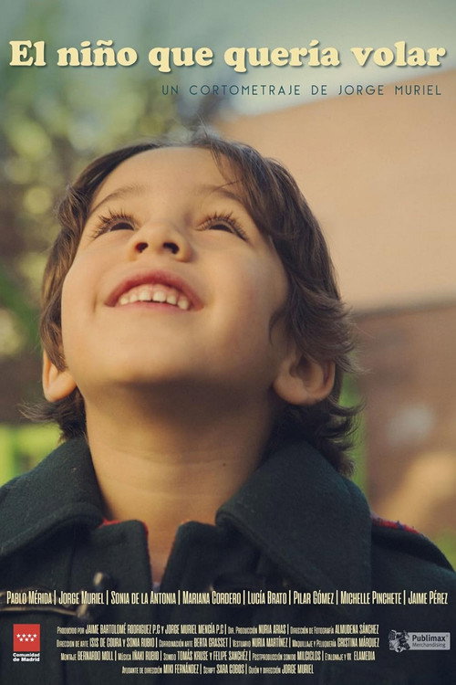 Movie poster for The Boy Who Wanted to Fly (2018)