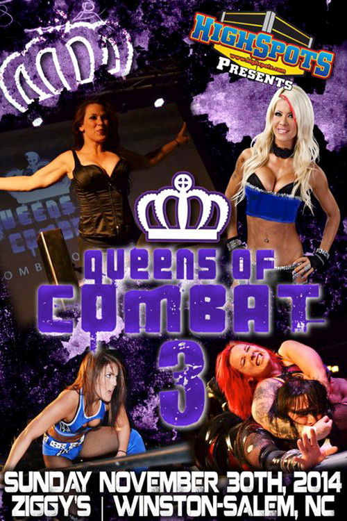 Movie poster for Queens Of Combat QOC 3 (2014)