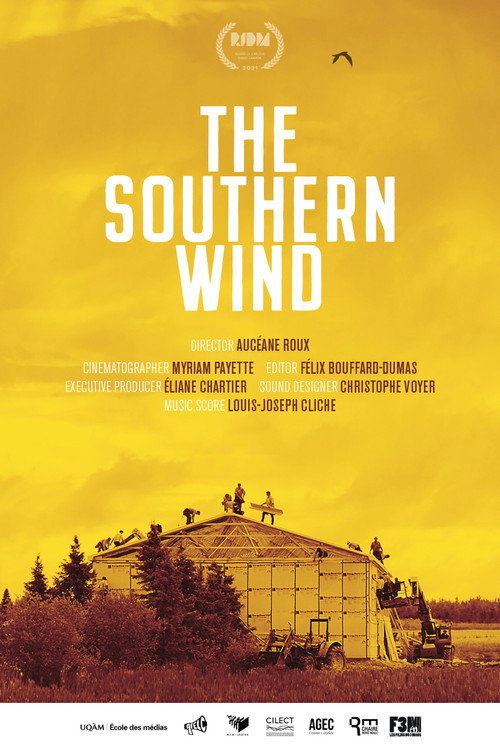 Movie poster for The Southern Wind (2021)