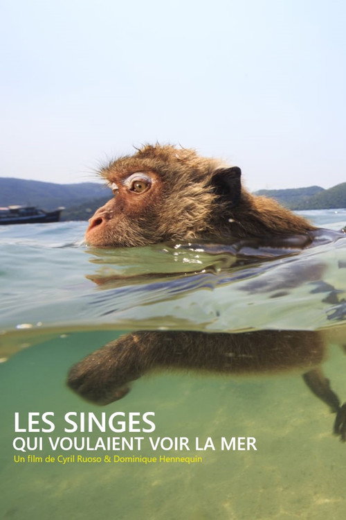 Movie poster for Les singes qui voulaient voir la mer (2020)