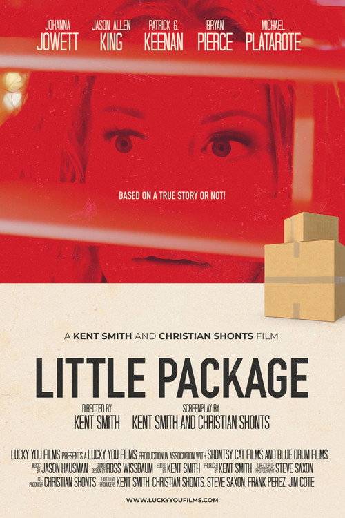 Movie poster for Little Package (2021)