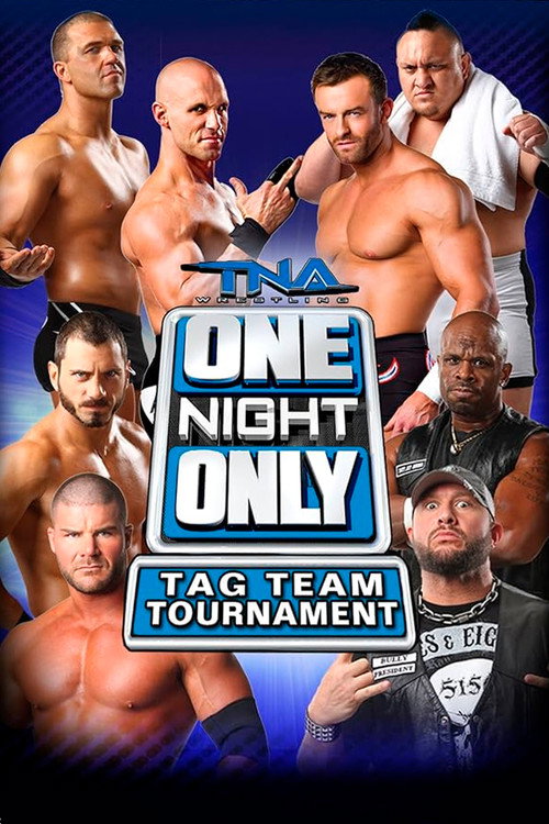 Movie poster for TNA One Night Only: Tag Team Tournament 2014 (2014)