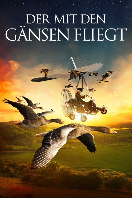 Movie poster for The Secret Routes of Migratory Birds (2014)