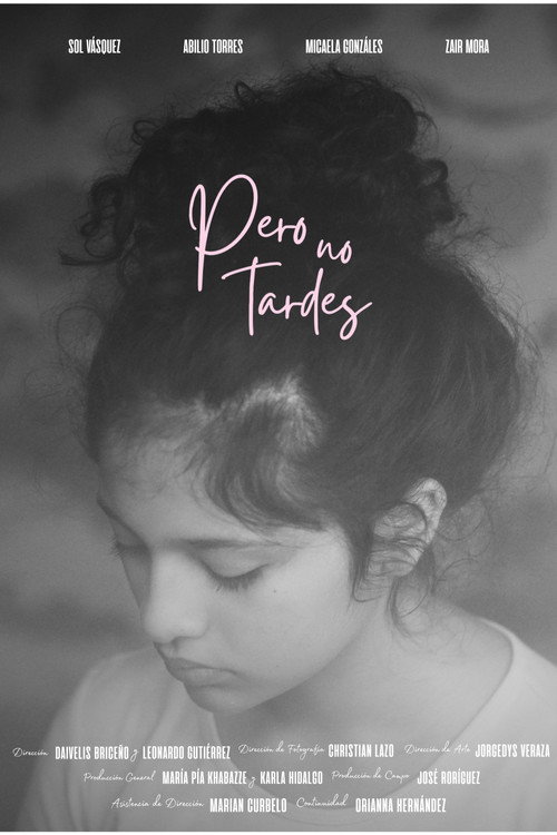 Movie poster for Pero no tardes (2026)