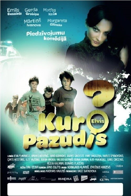 Movie poster for Finding Elvis (2008)