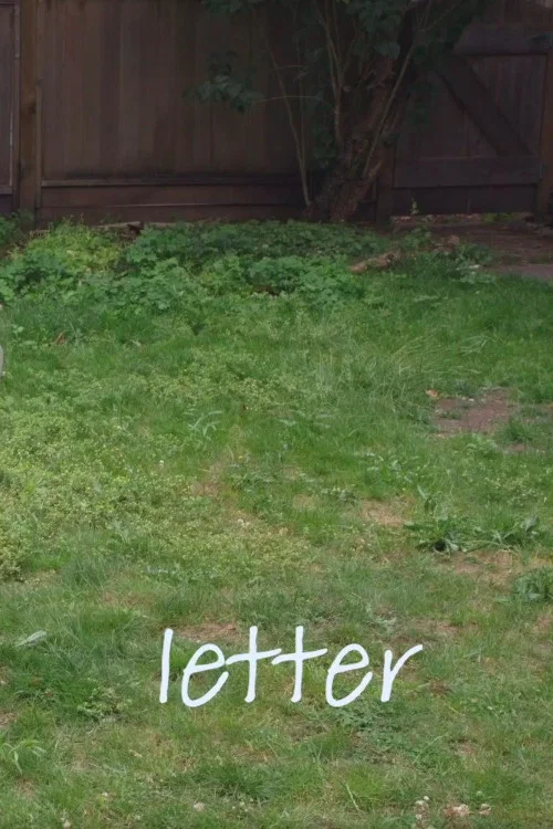 Movie poster for Letter (2020)