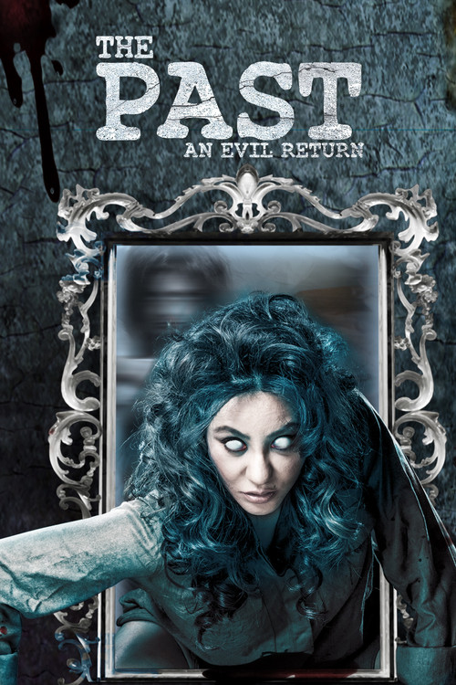 Movie poster for The Past (2018)