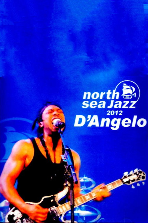 Movie poster for D'Angelo: North Sea Jazz Festival 2012 (2012)