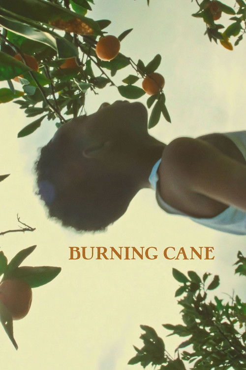 Movie poster for Burning Cane (2019)