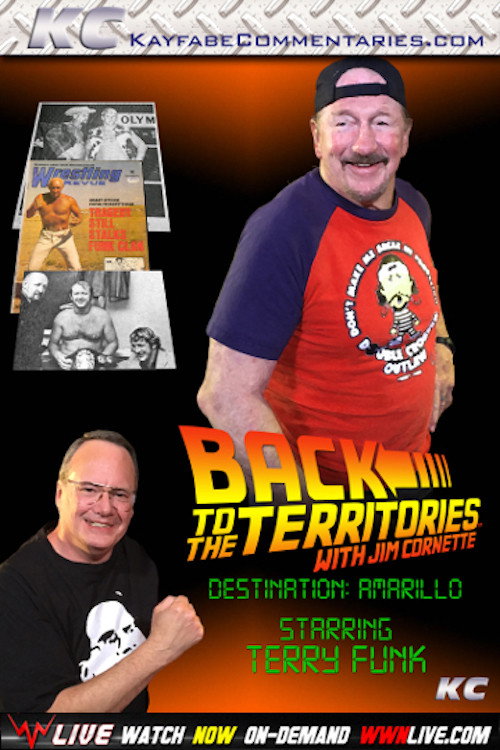 Movie poster for Back To The Territories: Amarillo (2016)