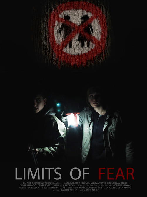 Movie poster for Limits of Fear (2024)