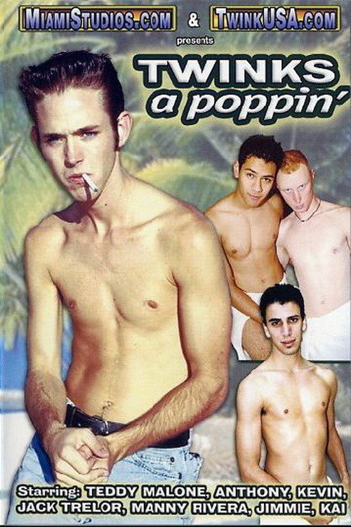 Movie poster for Twinks a Poppin' (2005)