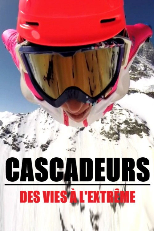 Movie poster for Cascadeurs, des vies à l'extrême (2017)