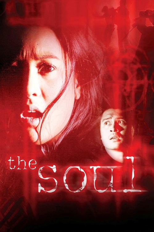 Movie poster for The Soul (2003)