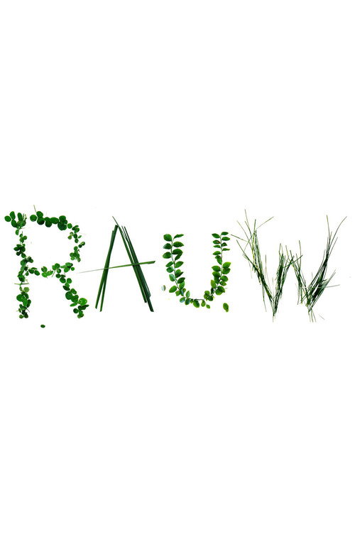 Movie poster for Raw (2008)