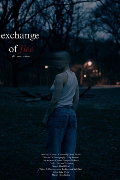 Movie poster for Exchange of Fire (2025)