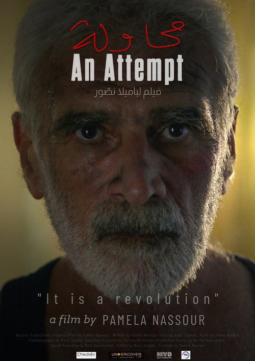 Movie poster for An Attempt (2021)