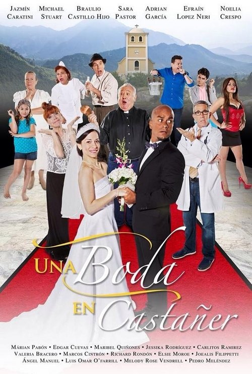 Movie poster for A Wedding in Castañer (2015)