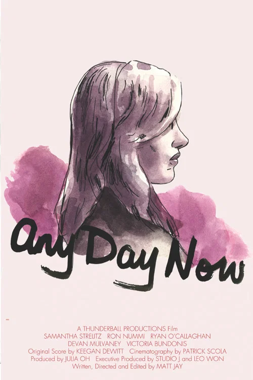 Movie poster for Any Day Now (2011)