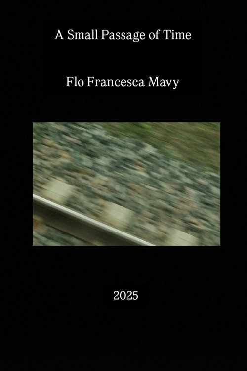 Movie poster for A Small Passage of Time (2025)