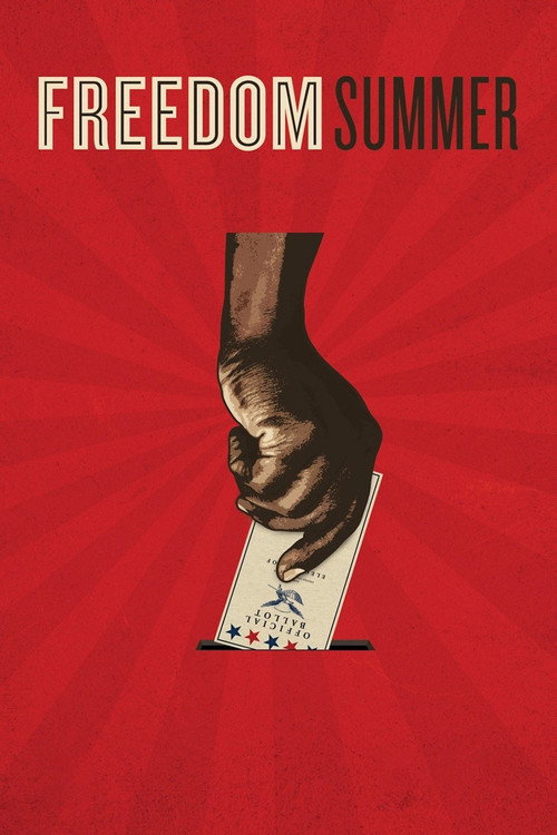Movie poster for Freedom Summer (2014)