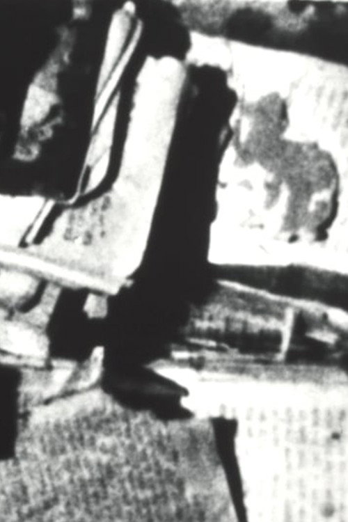 Movie poster for genizah; passages from the lublin book graveyard (2018)