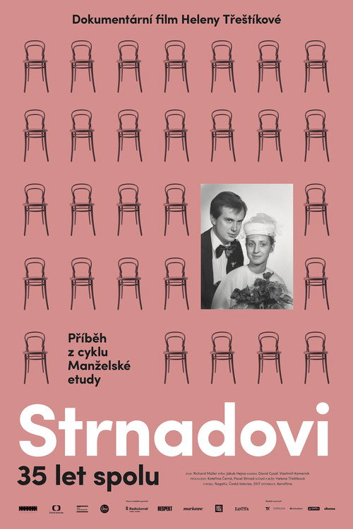 Movie poster for A Marriage Story (2017)