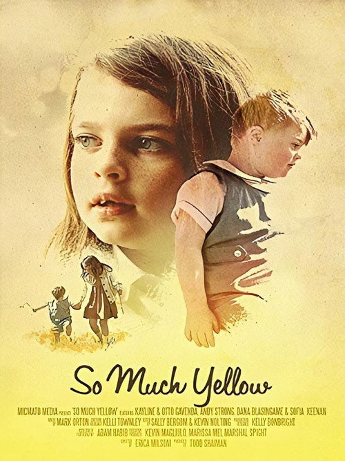 Movie poster for So Much Yellow (2017)
