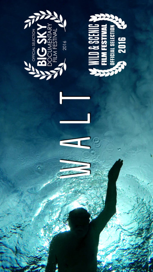 Movie poster for Walt (2015)