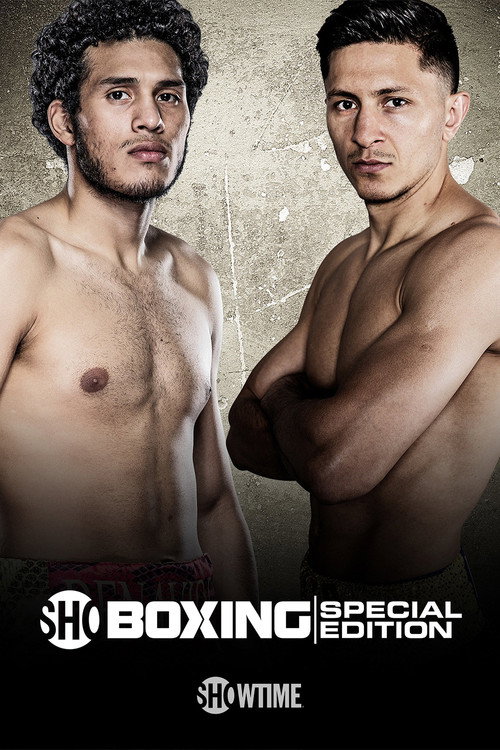 Movie poster for David Benavidez vs. Ronald Gavril (2017)