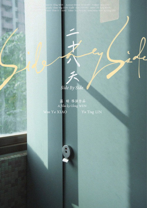 Movie poster for Side by Side (2024)