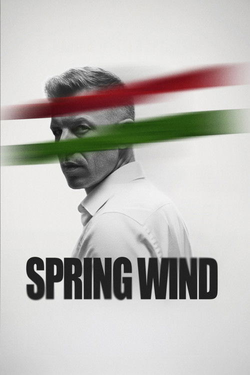 Spring Wind poster