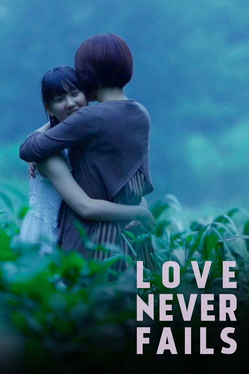 Movie poster for Love Never Fails (2015)