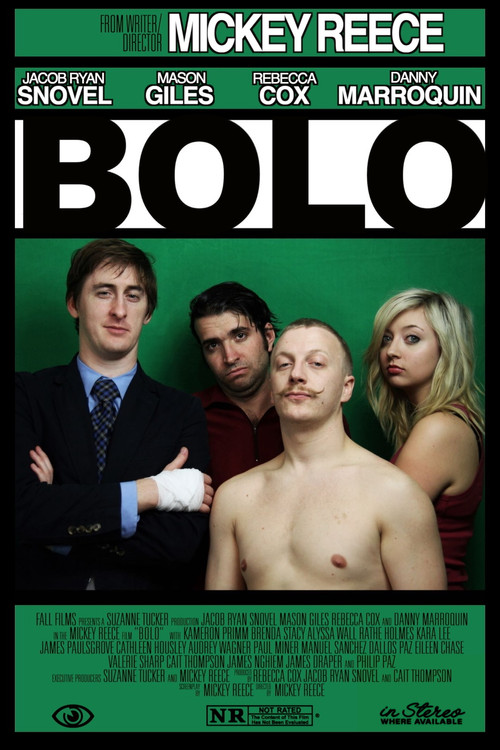 Movie poster for Bolo (2013)