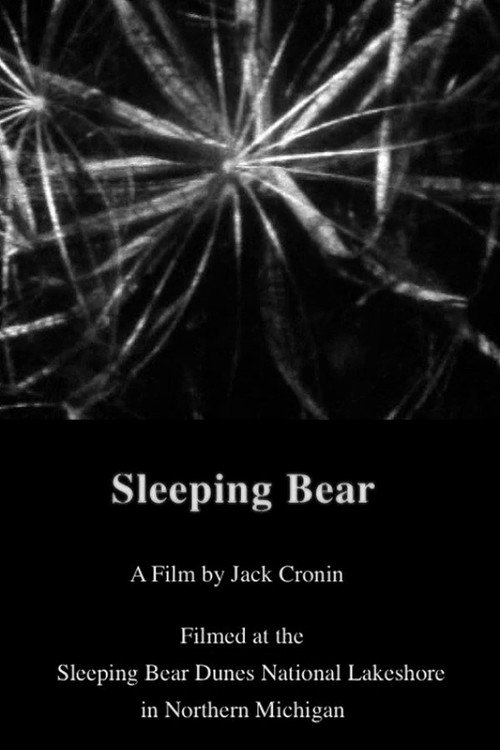 Movie poster for Sleeping Bear (2011)