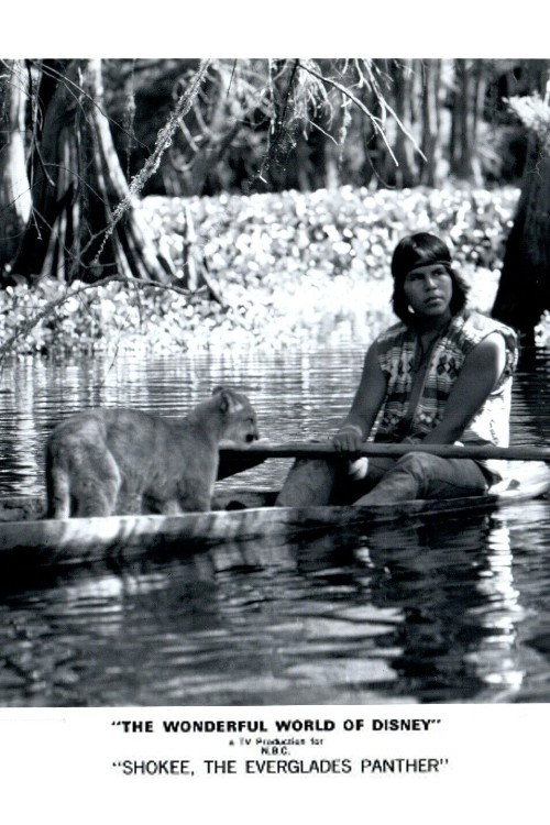 Movie poster for Shokee, the Everglades Panther (1974)