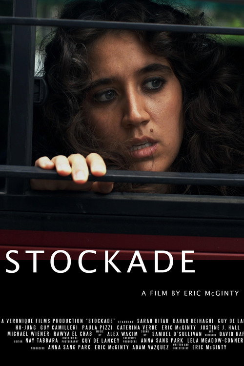 Movie poster for Stockade (2023)