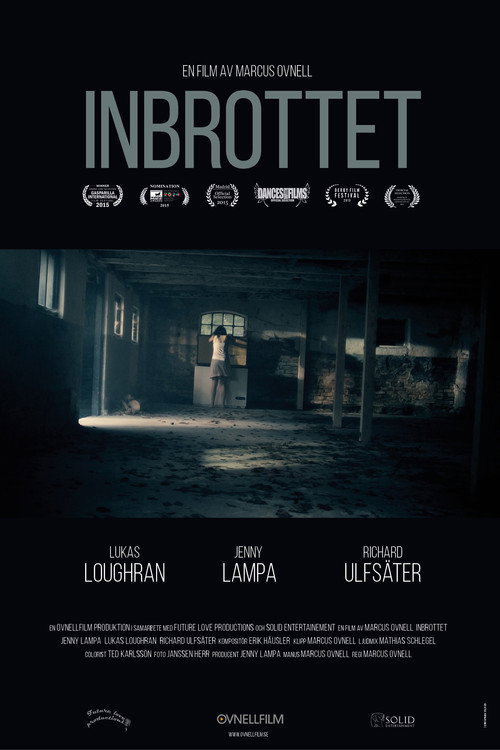 Movie poster for The Break-In (2016)